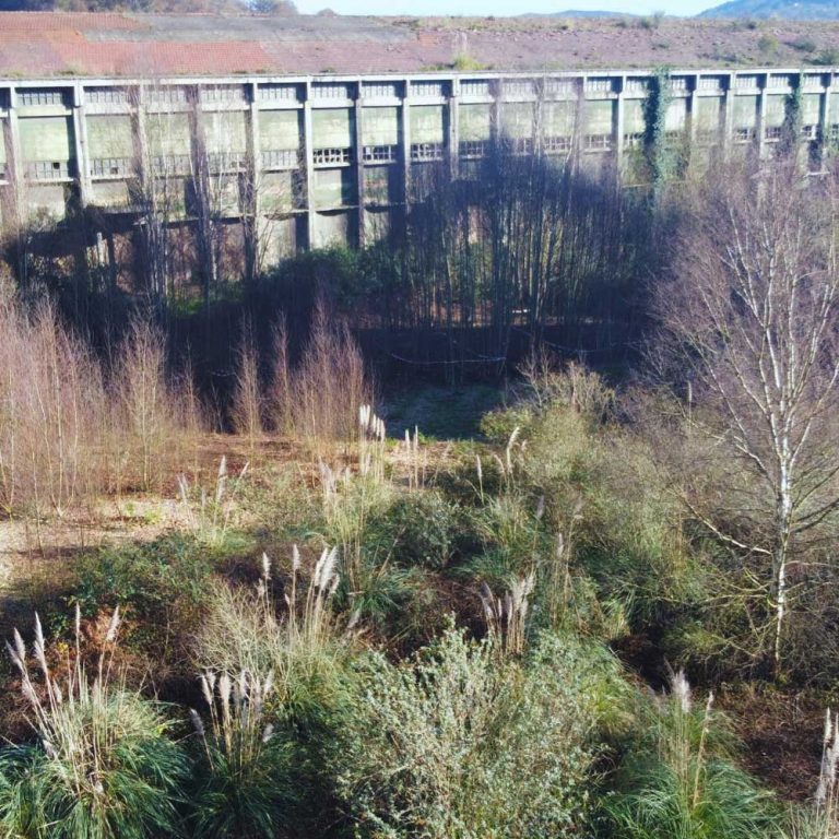 industrial brownfield