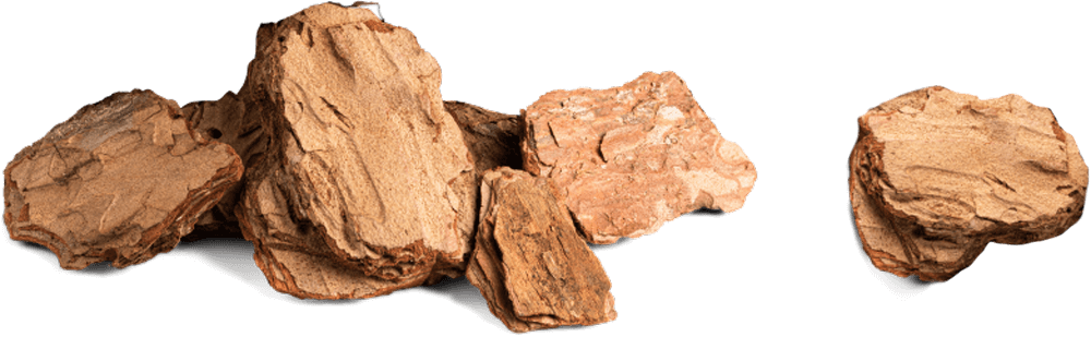 Wood bark