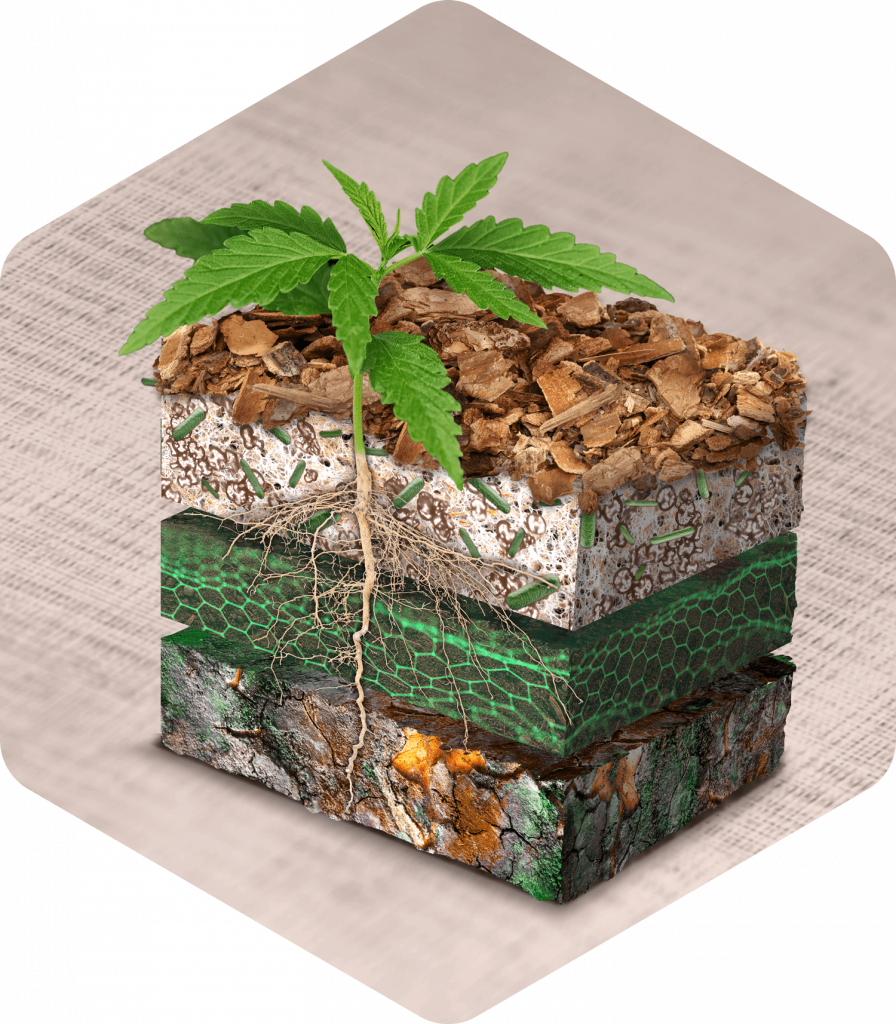 The key elements of the pHYBi concept