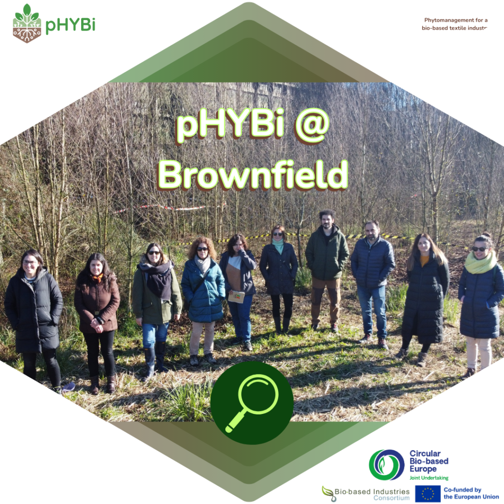 pHYBi visits brownfield site in Asturias Spain