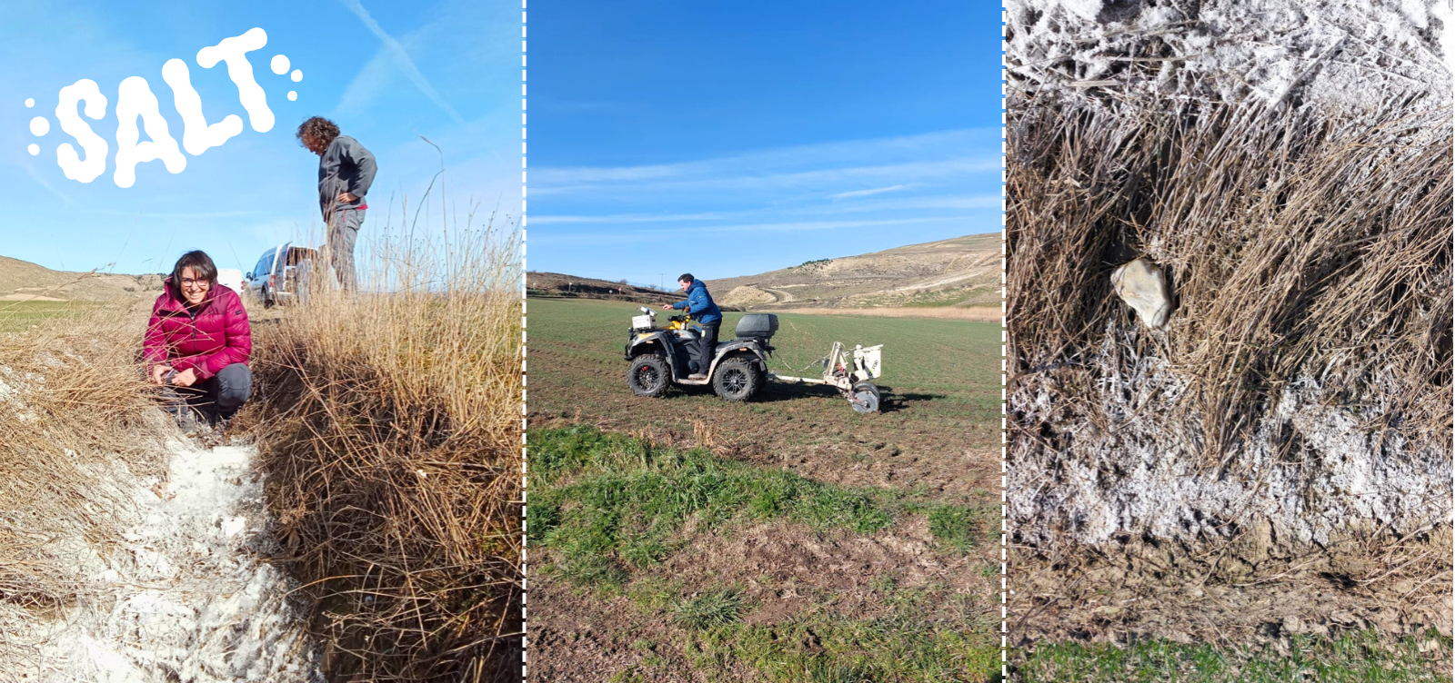saline soil in Belorado, case study 4 pHYBi