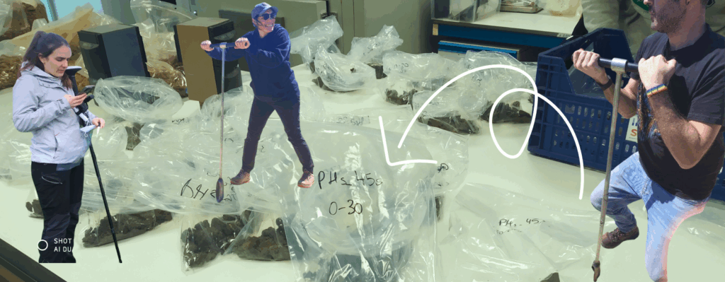 sampling pHYBi