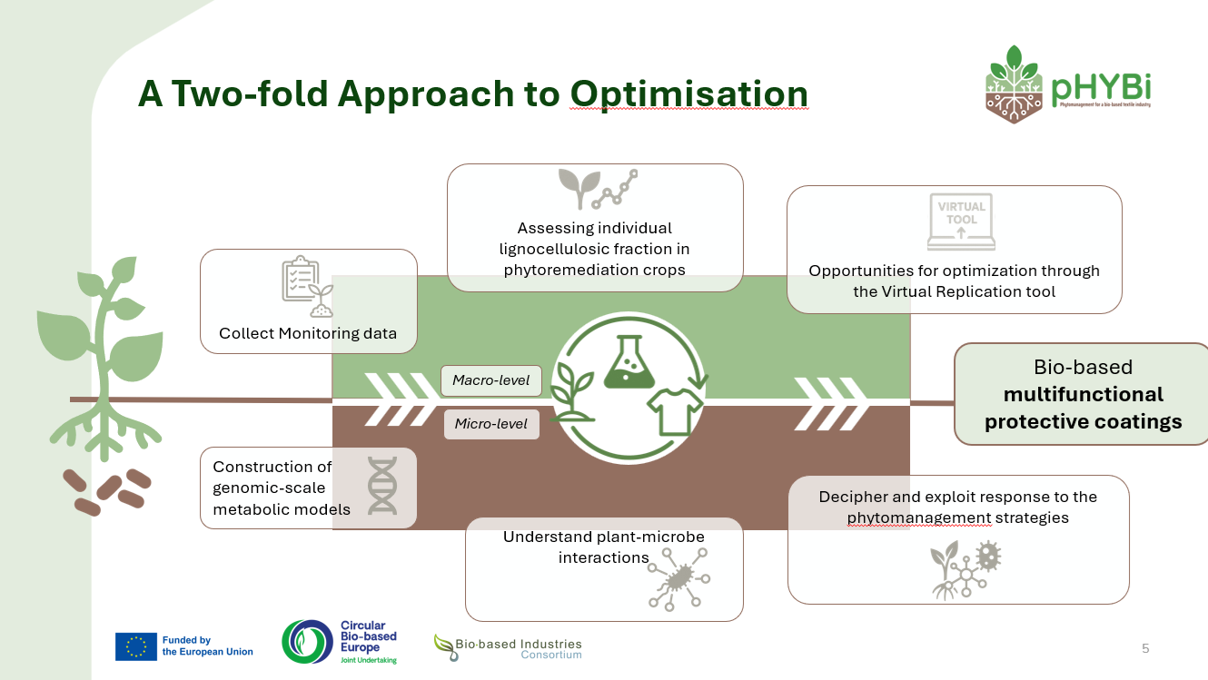 pHYBi Optimisation EBC2025